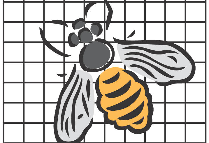 RoBa Insektenschutz